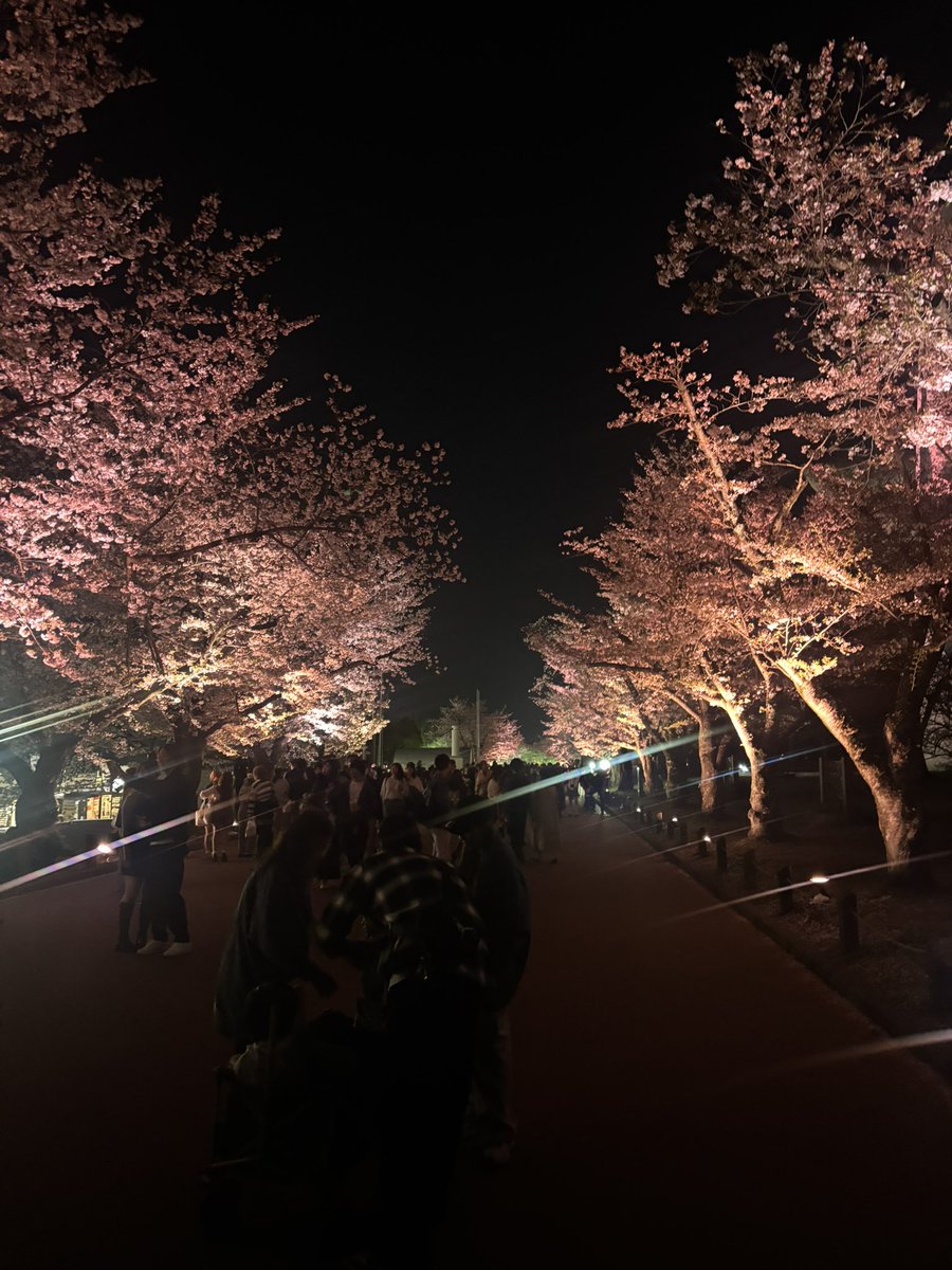 qvofh9's tweet photo. 🌸🌸 https://t.co/Xf0T6xlQwN