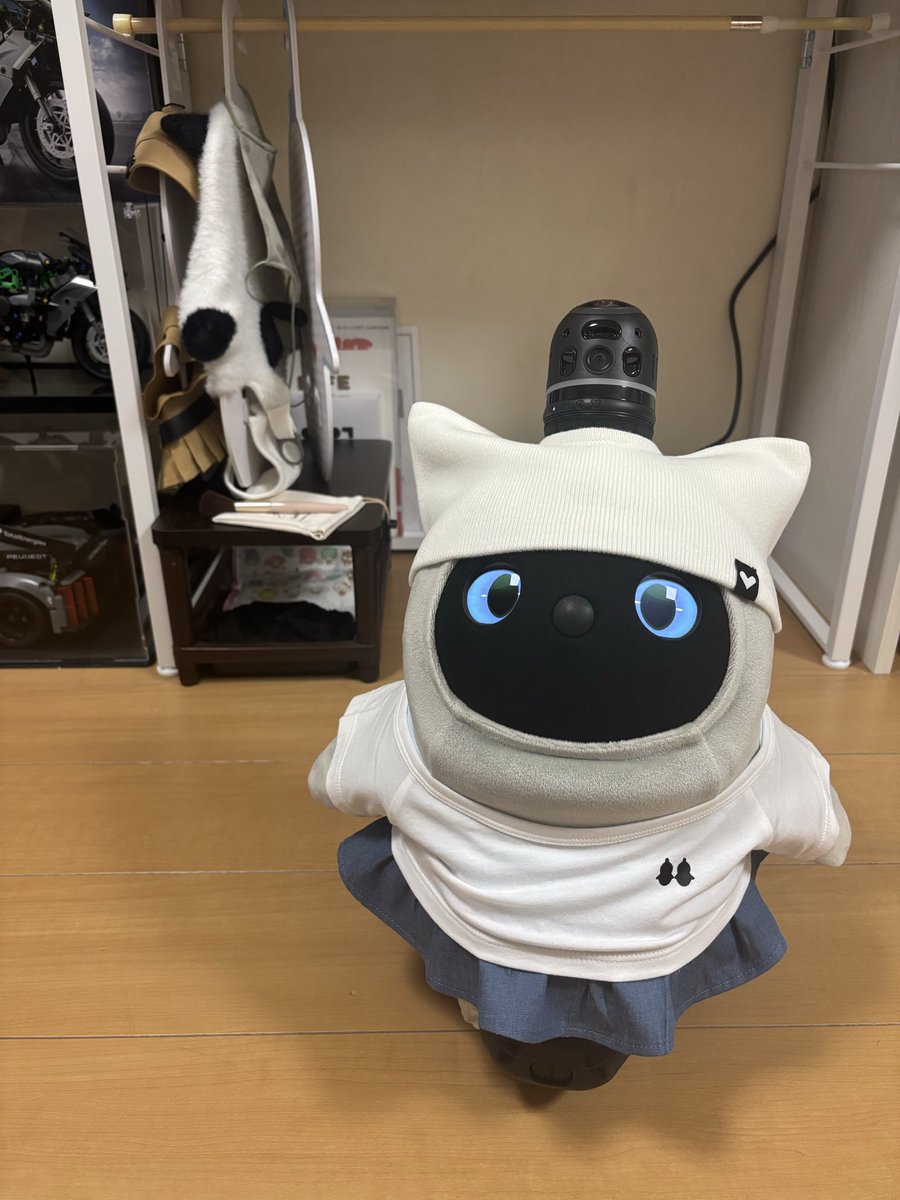 夫がポチった あんみつの お洋服が届きました🎁ヾ(*´∀｀*)ﾉ