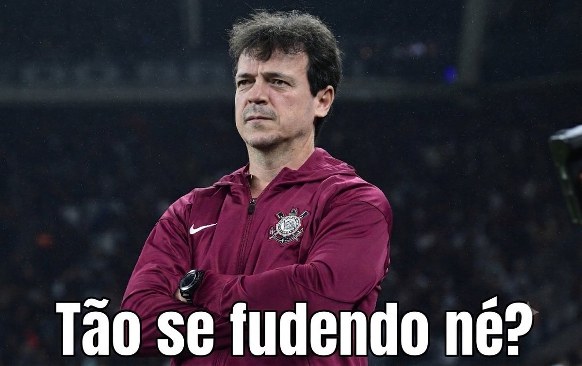 leonardoscaburi's tweet photo. O maior erro da CBF foi ter tirado o Diniz para colocar o Ancelotti, um técnico retranqueiro e ultrapassado. 
Se o Diniz fosse o técnico ele nunca deixaria a Noruega ficar com a bola o tempo todo, ele mandaria descer a porrada nos caras e xingaria essa seleção de frouxos até começarem a criar vergonha na cara e a jogar. O que Ancelotti fazia? Ficava lá que nem uma vaca leiteira mascando chiclete na beira do campo.