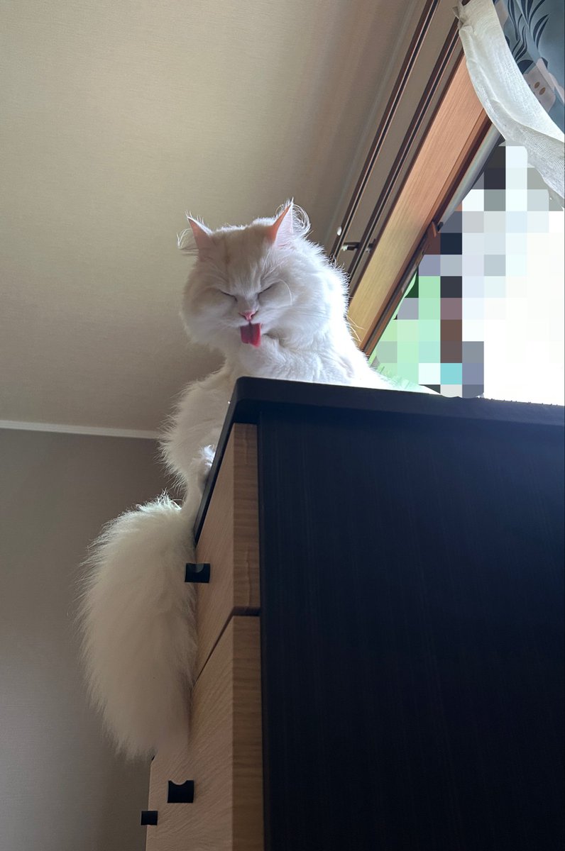miruchi928's tweet photo. お手手あむあむみるち、かわいすぎる。 https://t.co/3gXsWqygYf