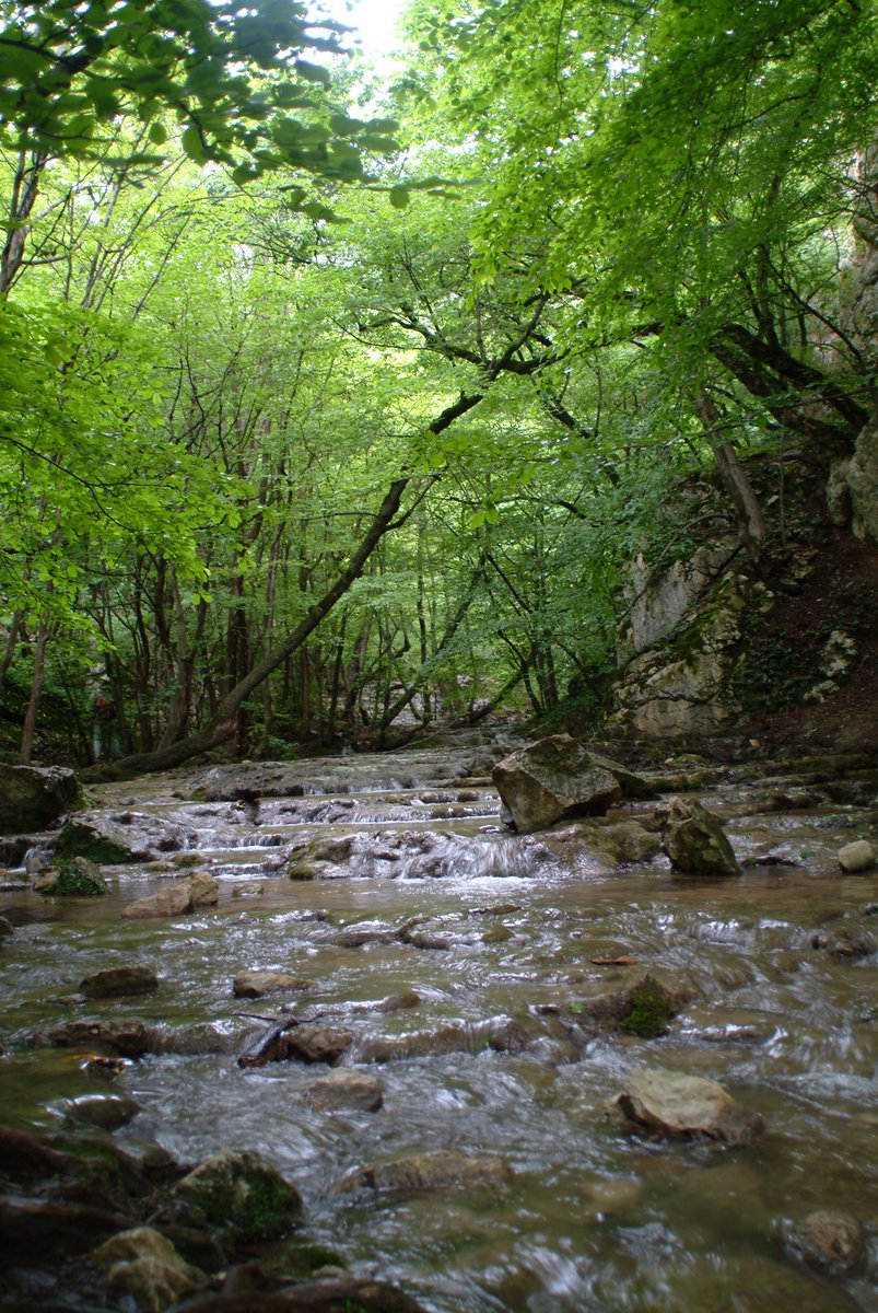 nasserkarami tweet picture