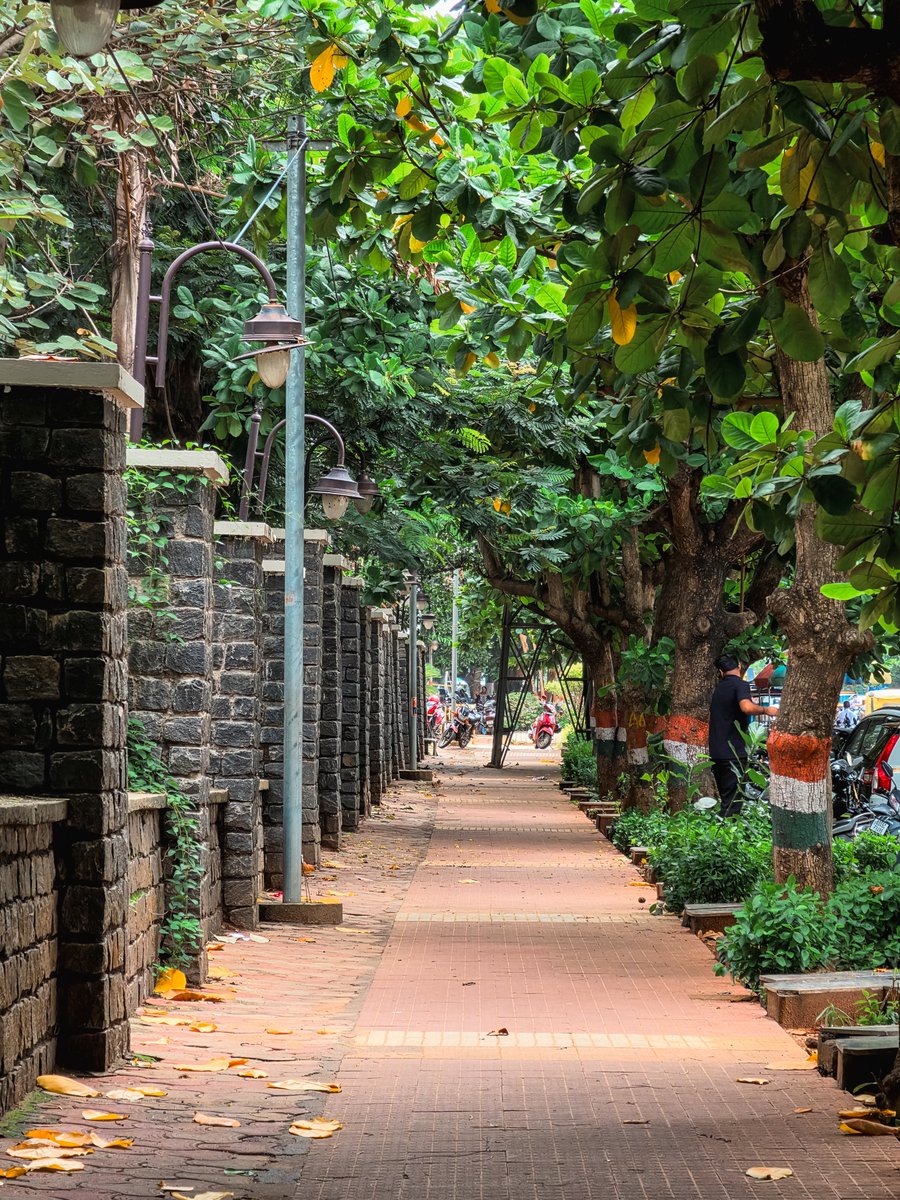 imalayamohanty's tweet photo. Walkways on KIIT Road  
Besides @KIITUniversity campus 3
#shotonsnapdragon 
#withgalaxy 
S26U 

Photos that make me feel peaceful.
Share your pics guys
@drramyamurali 
@aHeartSoFull 
@DarrenChen528 https://t.co/ewHBakvd7K