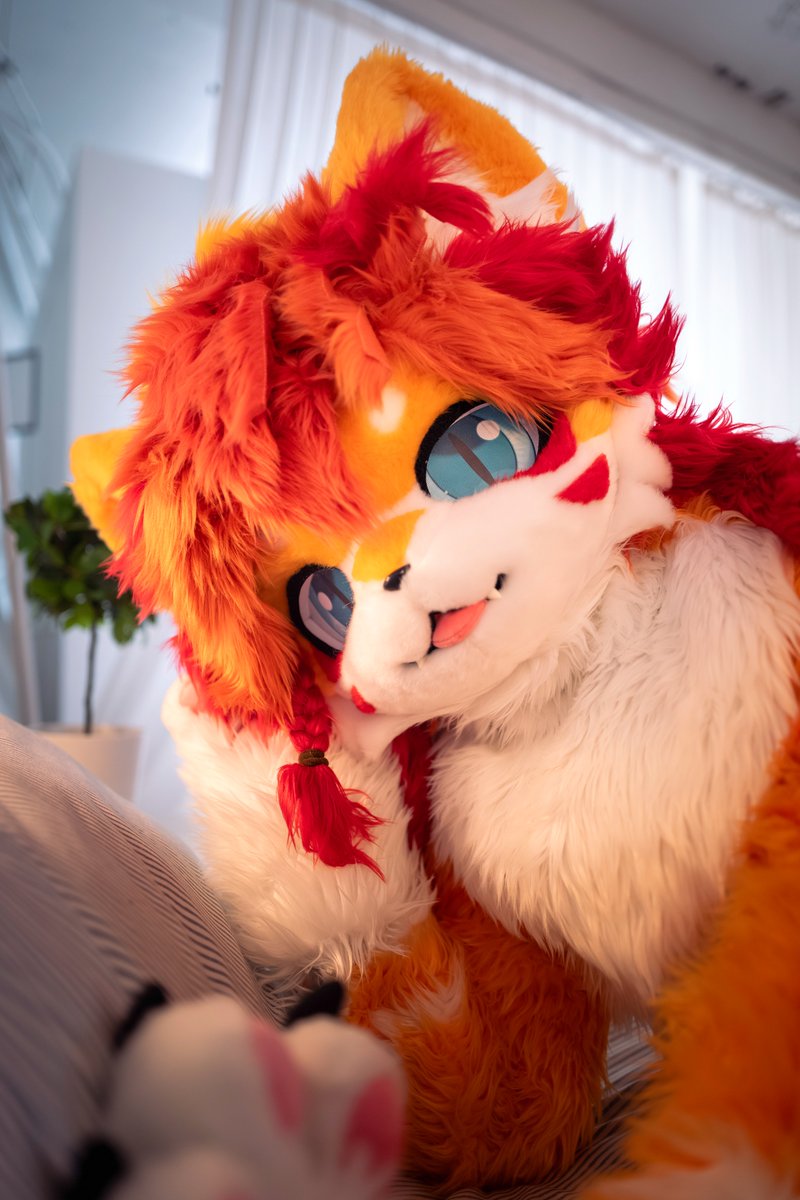 Nine_kitte's tweet photo. #FursuitEveryday #구냥네가좋아

빠안히.. https://t.co/ERPwGKaD9X
