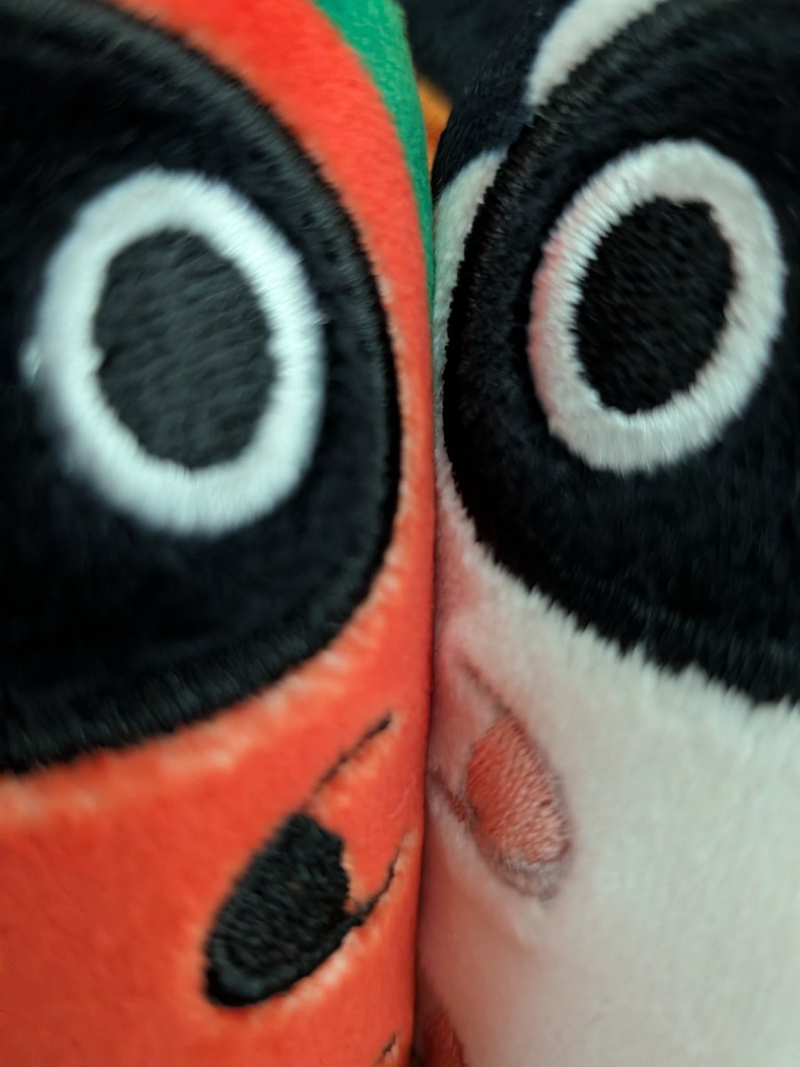 JQ6Iv's tweet photo. https://t.co/6LZcr9DZG1