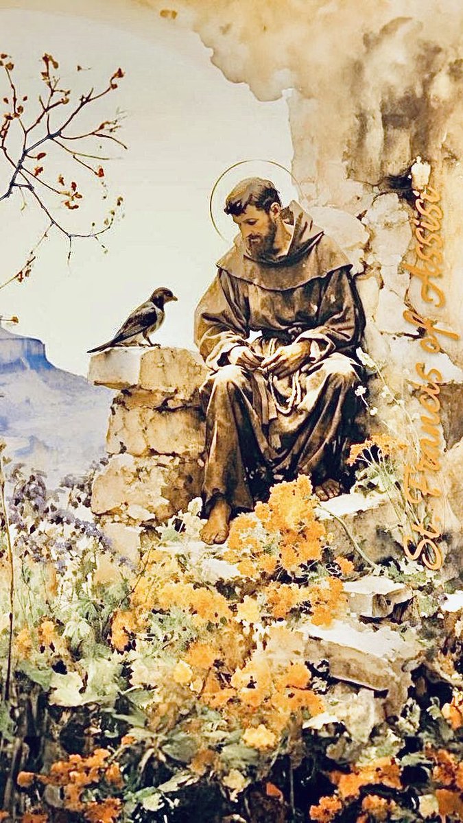 MrCasey62's tweet photo. “By the anxieties &amp; worries of this life Satan tries to dull man’s heart &amp; make a dwelling for himself there.”

~ St. Francis of Assisi https://t.co/J1Ihrau7DR