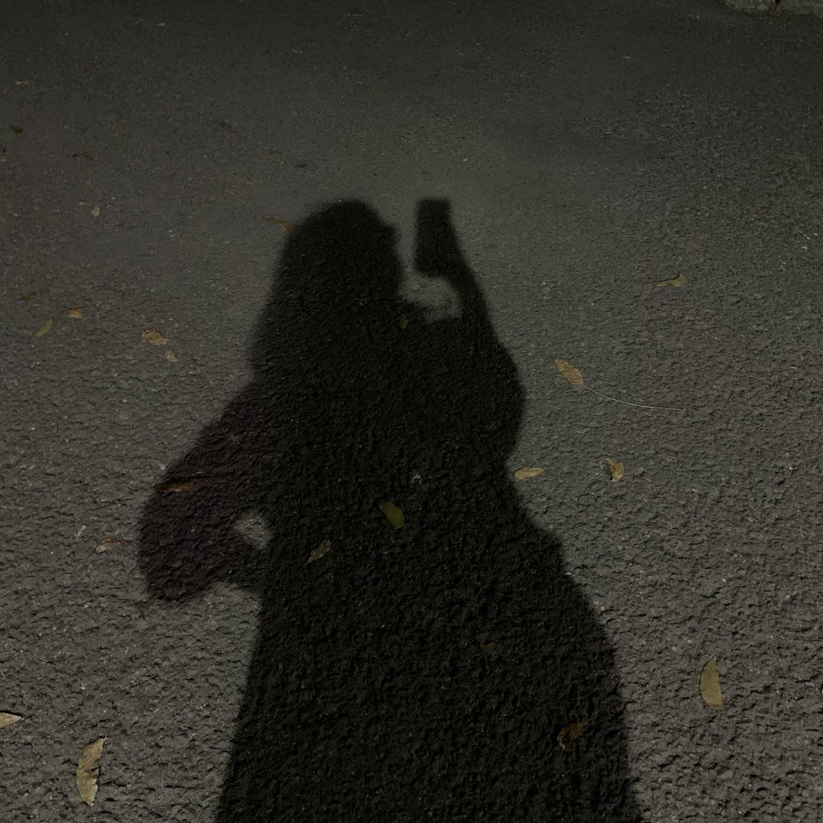 donaterbang's tweet photo. me n my big ass tote bag against the world https://t.co/nmIqJLmeV8