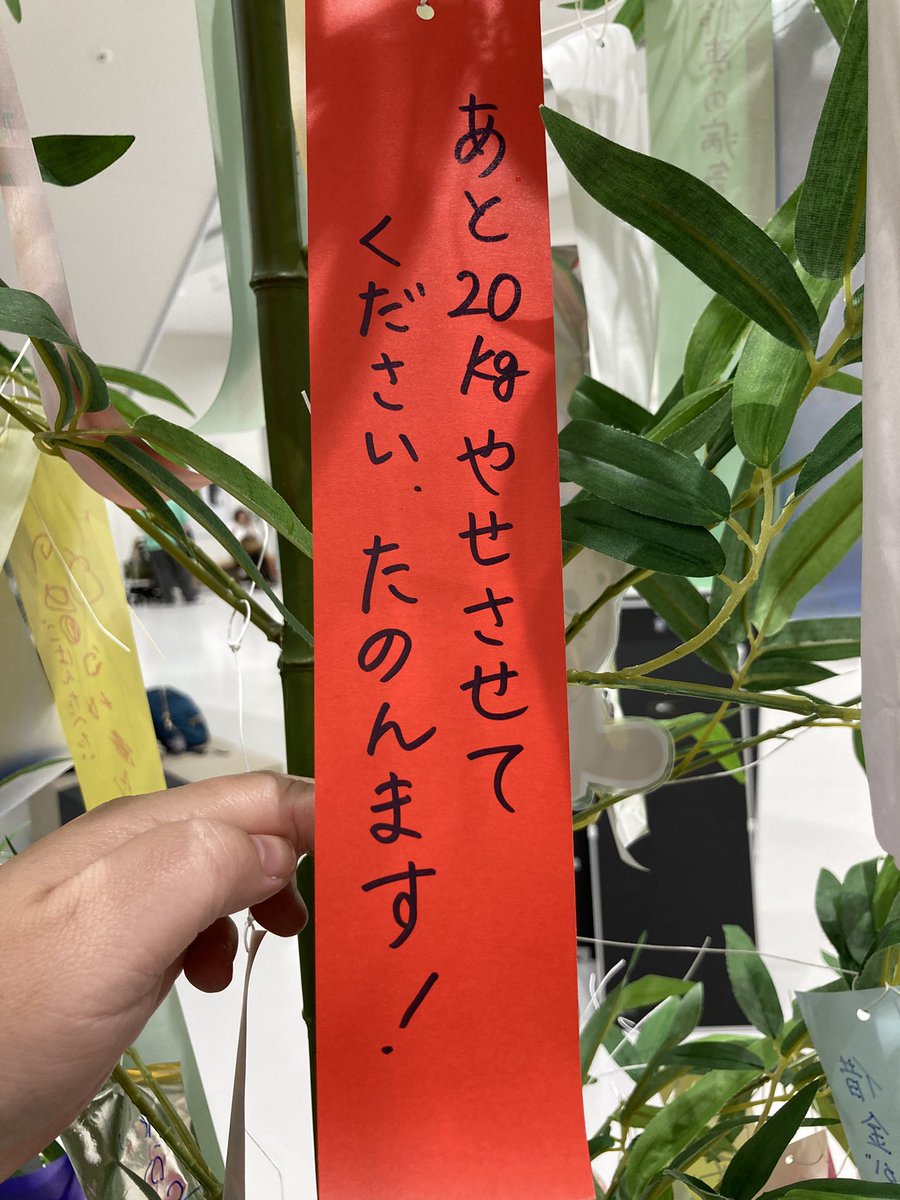 LiPmsx's tweet photo. とりあえずだな
七夕なんでな https://t.co/Dm89nUbLXh
