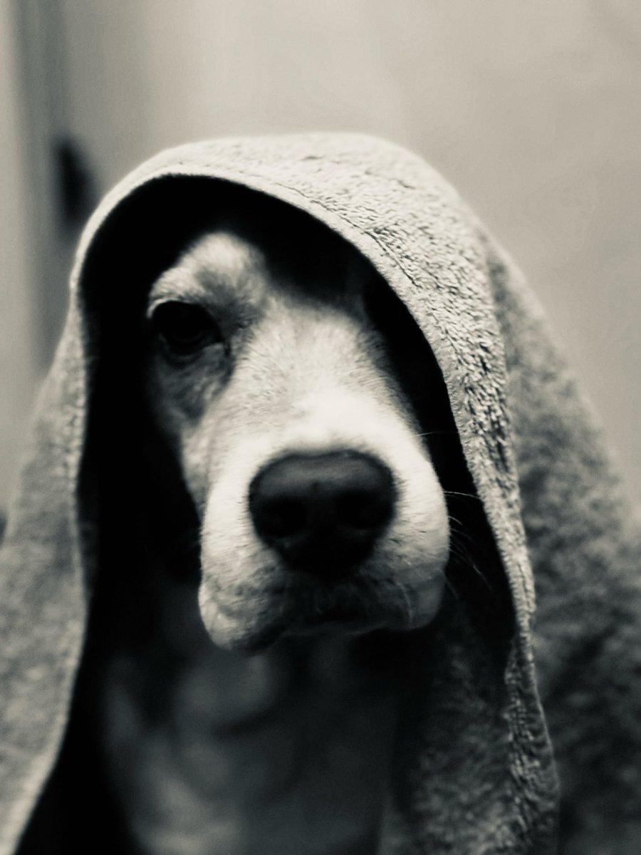 iamjaypee0629's tweet photo. Join the dark side 🤣 #chuni https://t.co/jBvgimWxmg