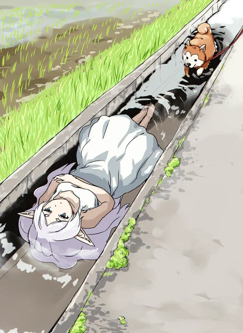 納涼のフリーレン