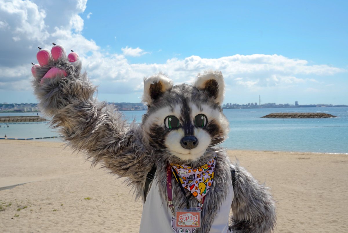 NROCKRaccoon's tweet photo. 아이고 더워라!! 시원한 해변에 놀러 가고 싶다~~~!!! 🏖️🌊✨✨✨

あ〜、暑すぎる！！涼しい海辺でのんびりしたいな〜〜〜！！！🏖️🌊✨✨✨

#FursuitEveryday
📸@wolfgang_eden https://t.co/EznVjHTsvY