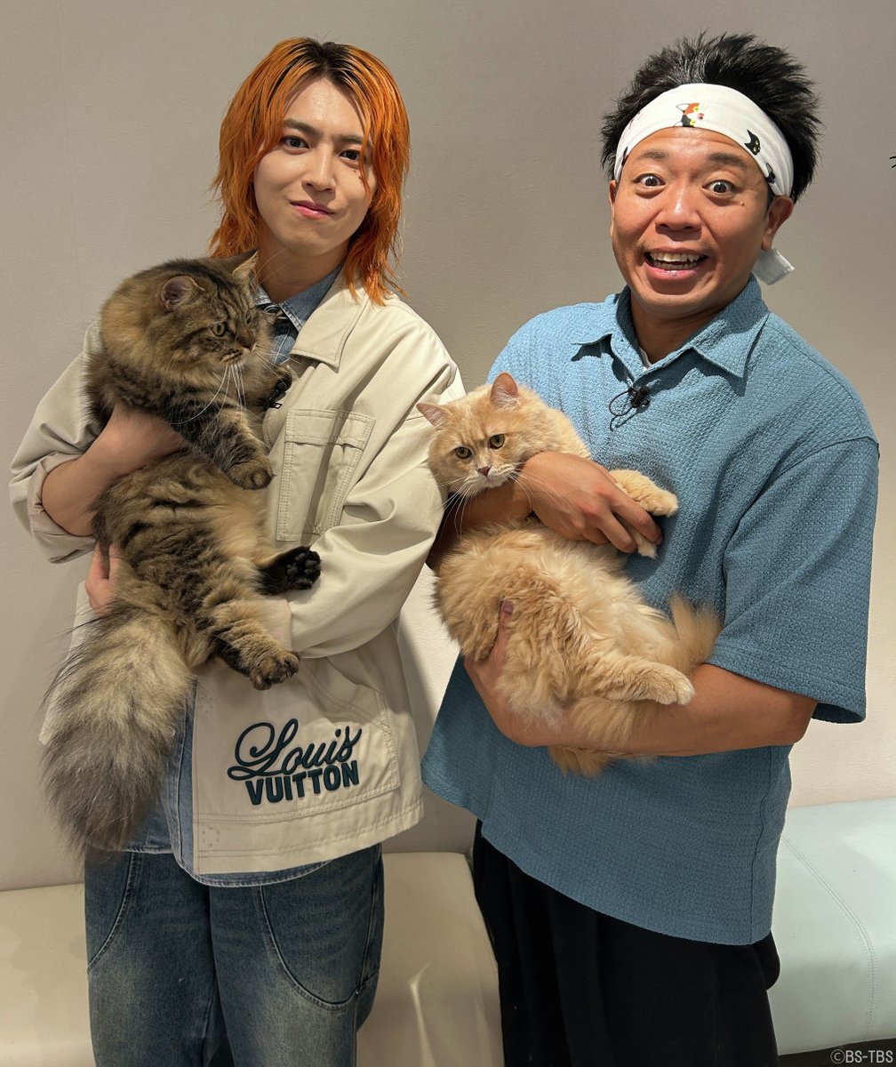 bstbs6's tweet photo. ⏰明日7/8(水)よる11時
「#ねこ自慢」

大の猫好き！超特急タカシが初登場✨

🐱長毛種のねこカフェで肩のり猫が
　サンシャイン池崎から降りない⁉️
🐱看板猫がいる算数教室！

🐈MCねこ(声)
緒方恵美

👇TVer配信は7/9(木)正午～
https://t.co/waojzj93nM

@ikezaki_YEAH @sd_bt @nekojimanbs6ch https://t.co/vxp6H5WlcB