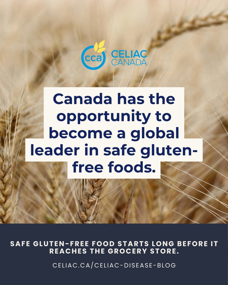 CCAceliac's tweet photo. 🌾 Gluten-free food isn't a preference for people with celiac disease—it's medical treatment.
That's why Celiac Canada is advocating for safe and reliable gluten-free foods in Canada's agri-food policy discussions.
🔗 https://t.co/K9DLGXnQFP
#CeliacCanada #Celiac #GlutenFree https://t.co/3QbqpYYEyy