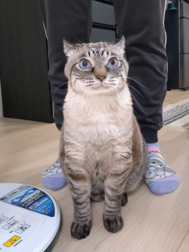 やまたろう tweet media