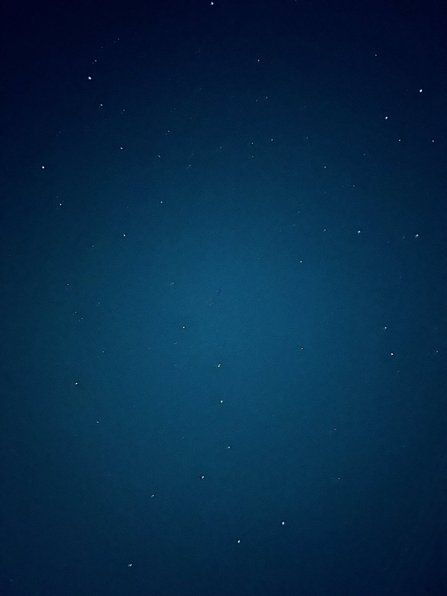 pecoyd's tweet photo. こんばんは

七夕🎋

「アルタイル」聴いてます

夜空 瞬くアルタイル
遠く離れる君想う
季節が過ぎて 全てが変わっていっても
You, forget me not
君と僕の距離はいつだって何億光年はてしなくて広がる milky way
勇気はどこだ？
今夜こそ伝えなくちゃ
逢いに行くんだ https://t.co/ozkluiw8wz