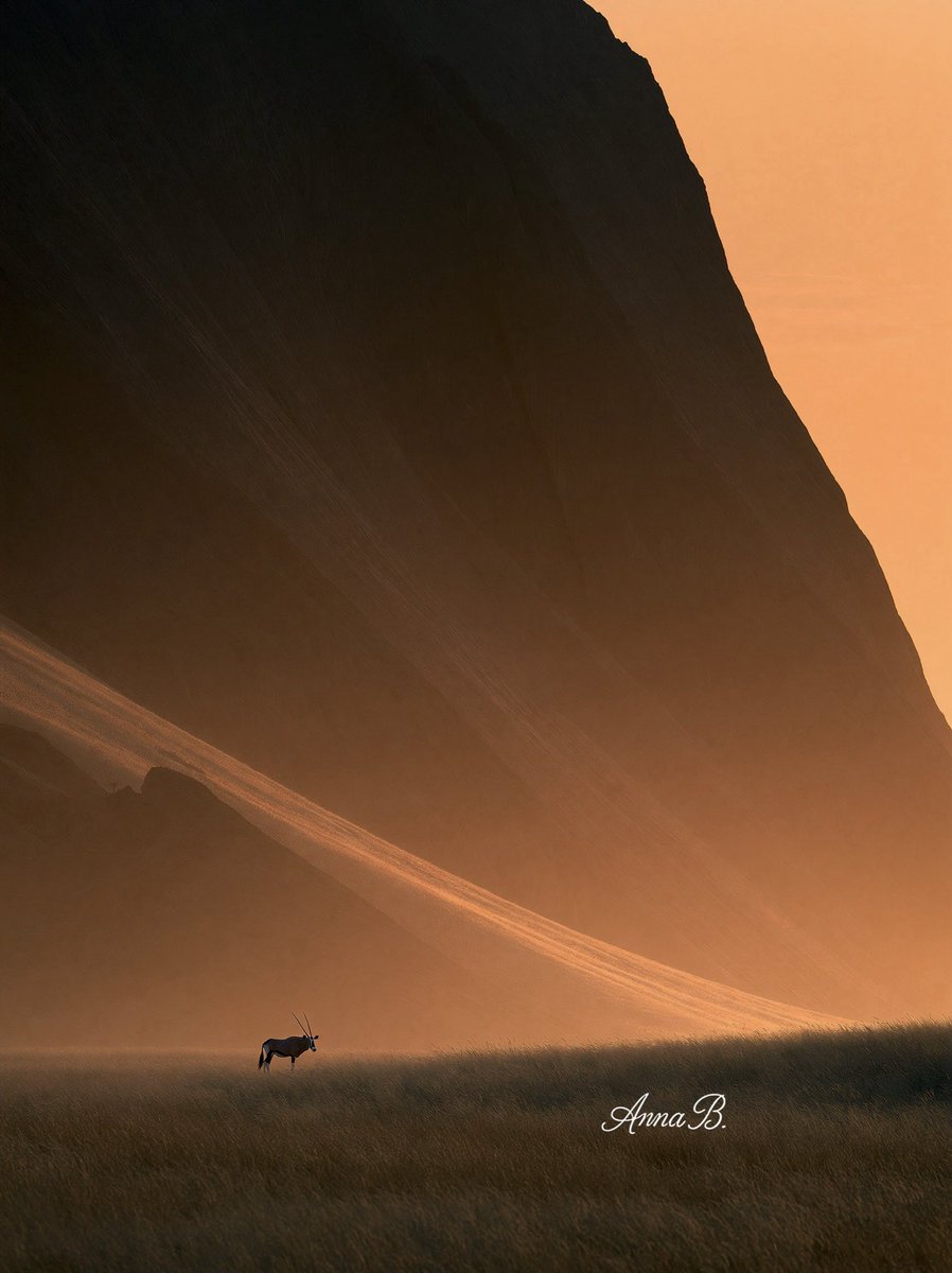 Aurora41155547's tweet photo. The Call of the Wild
#Art #SynthArt # AnnaBArt
#Namibia #Wilderness #Vitality #DesertCreatures #Sunset #EpicVibes https://t.co/T6JDJQPQKp