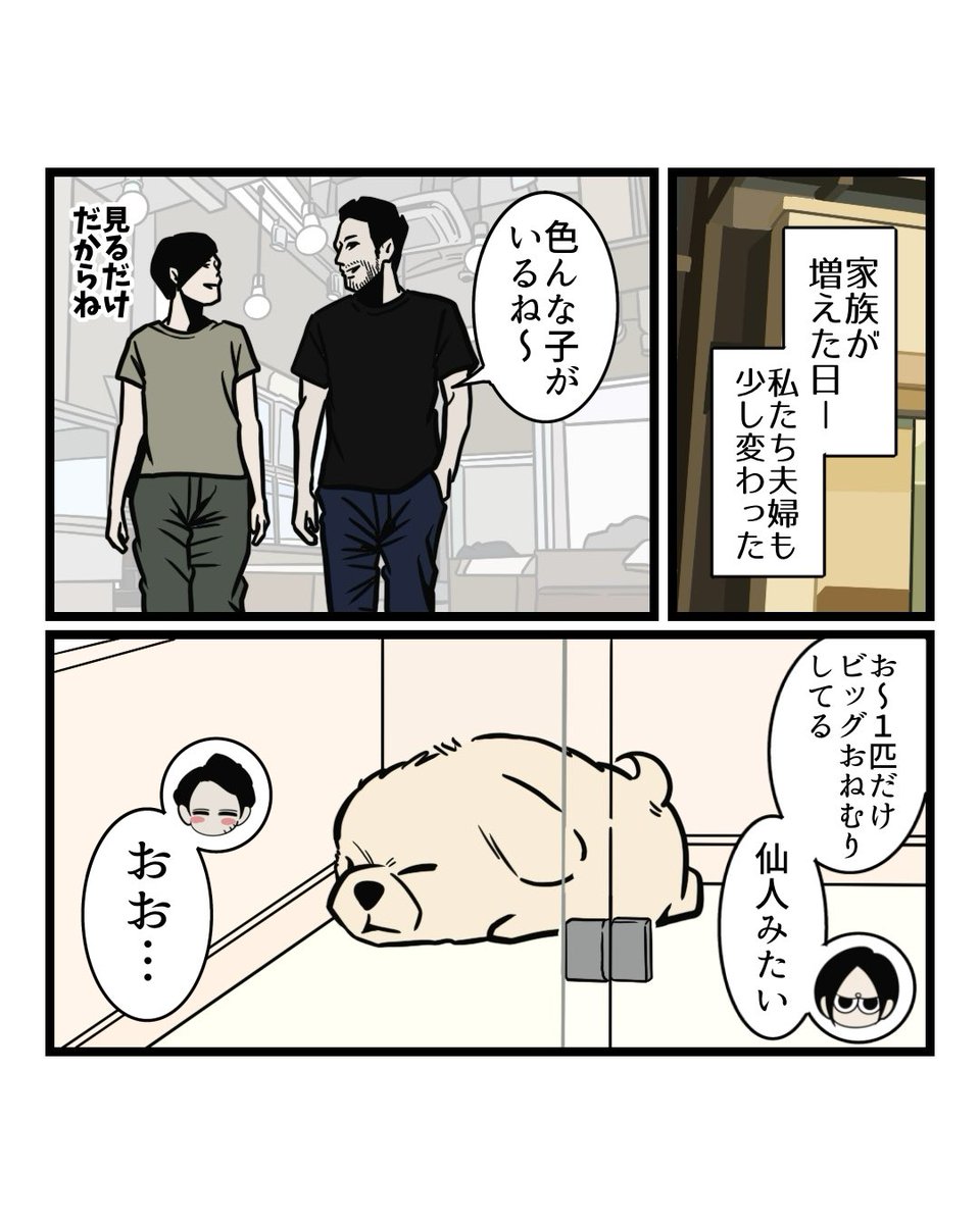 もちまる㌰ (@mochimaru0715) / Posts / X