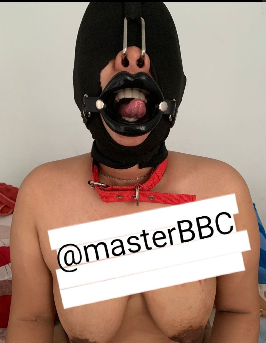 bbcmast3's tweet photo. adaa yang suka diginiin ?
atau lu pengen memelihara dia ? 
 dari slave gw 
andaikansuaminya tau❤❤ 😎❤
#masterbbc #pig https://t.co/s5UTJNttvB