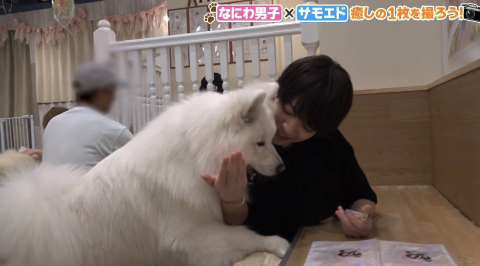 nnw_mof's tweet photo. キューアグ #なにわTube https://t.co/lXhniOz3vF