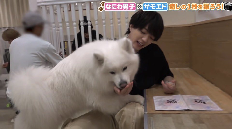 nnw_mof's tweet photo. キューアグ #なにわTube https://t.co/lXhniOz3vF