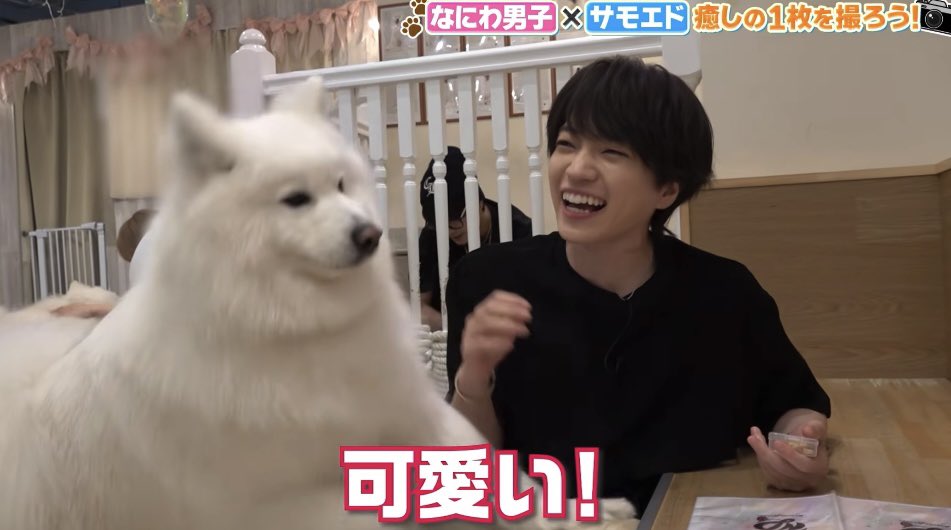 nnw_mof's tweet photo. キューアグ #なにわTube https://t.co/lXhniOz3vF