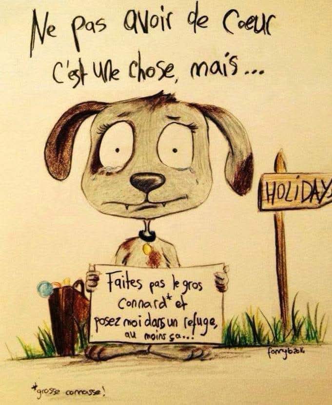 AdeaClaude's tweet photo. La France, le pays où il y a le plus d'abandons 😡😡
À  tous ceux et celles qui abandonnent, je vous souhaite le pire...et surtout ne dites pas "je n'avais pas le choix", le choix vous l'avez eu de l'adopter ou pas.
Un animal n'est pas un objet et adopter c'est S'ENGAGER, point. https://t.co/oDSHgMno5q