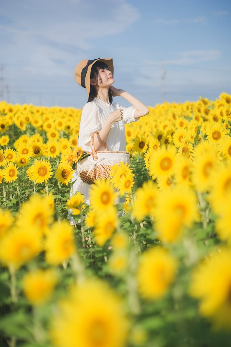 ひまわり🌻 (@sunflower_q10) / Posts / X