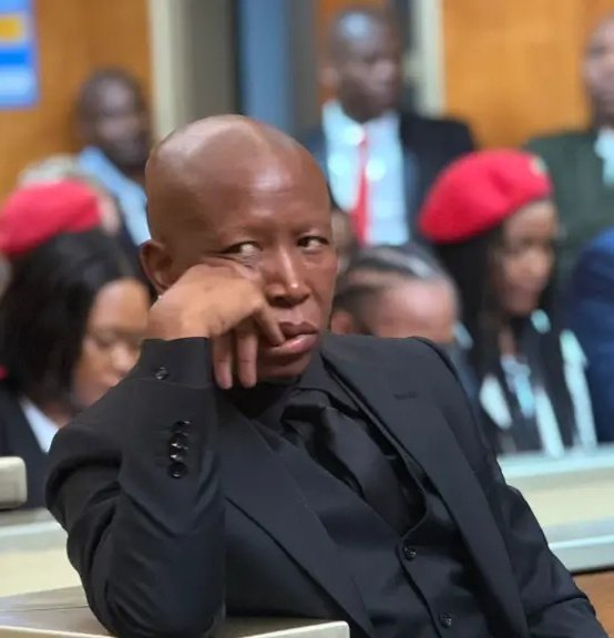ISephara's tweet photo. Every day, the Madlanga Commission keeps exposing how corrupt Julius Malema is. 

I can't believe this man has fooled 9% of the population for over 13 years. 

This guy is a hardcore criminal. https://t.co/1AvSpic0Yj