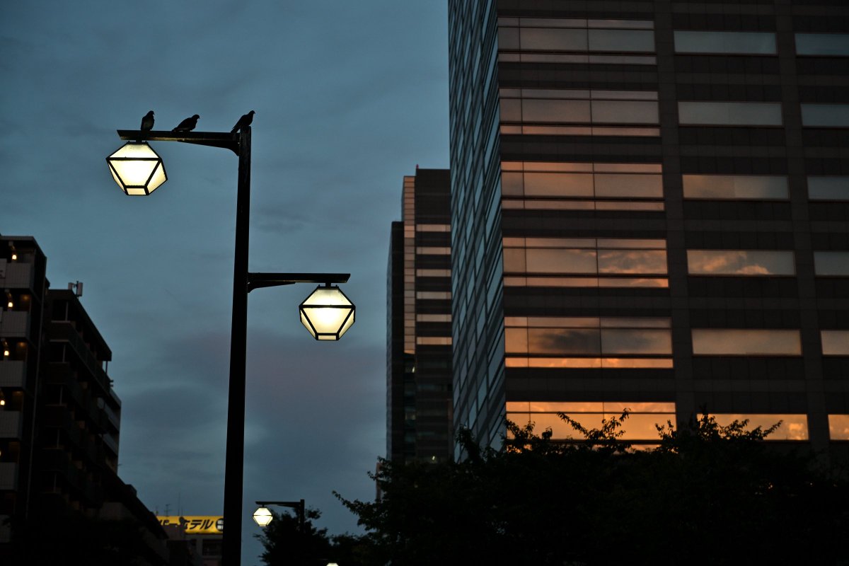 Kohi5180's tweet photo. 夜スナ!269 北斎通り
インスタは→ kohi5180
#夜スナ #街スナップ #夜景 #錦糸町 #墨田区 #snapshot #streetsnap #nightshot #rodeside #nighiview #tokyonightview #tokyo #japan #jp_gallery #discovertokyo #light_nikon #nikoncreators #tokyotokyo #tokyocameraclub https://t.co/Apt9j6HN9M