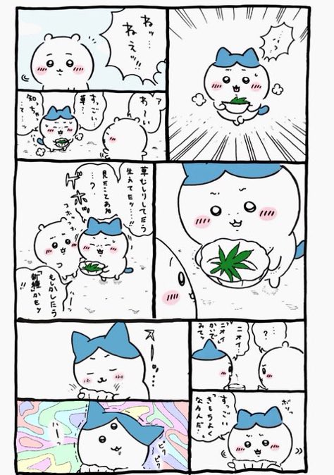 雪の降る街 tweet media
