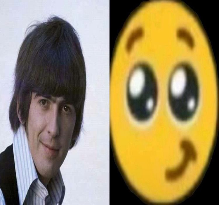 ⋆⭒˚.⋆ heidi 🐞 ringo day! tweet media