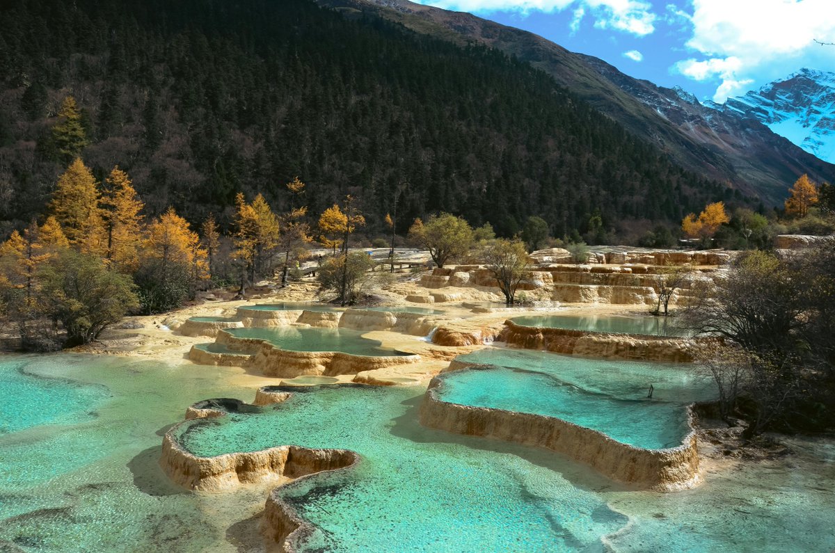 LuxuriousView's tweet photo. — 黄龍 —
中国 / アジア州

岷山の山肌に、
黄葉のカラマツと濃い針葉の森、
石灰の段が幾重にも折り重なっている。

縁がくぼみを区切るたび、
水は孔雀の羽から紺へと深さを変え、
底に沈む枯れ枝の形までをくっきりと見せている。

谷を上から望めば、
大小の潭が樹林のあいだに散らばり、
木の桟道が斜面を縫うように延びていく。

黄褐色の帯がうねりながら下り、
龍の姿に古くからなぞらえられ、
四川北部の一角にその名を刻んできた。