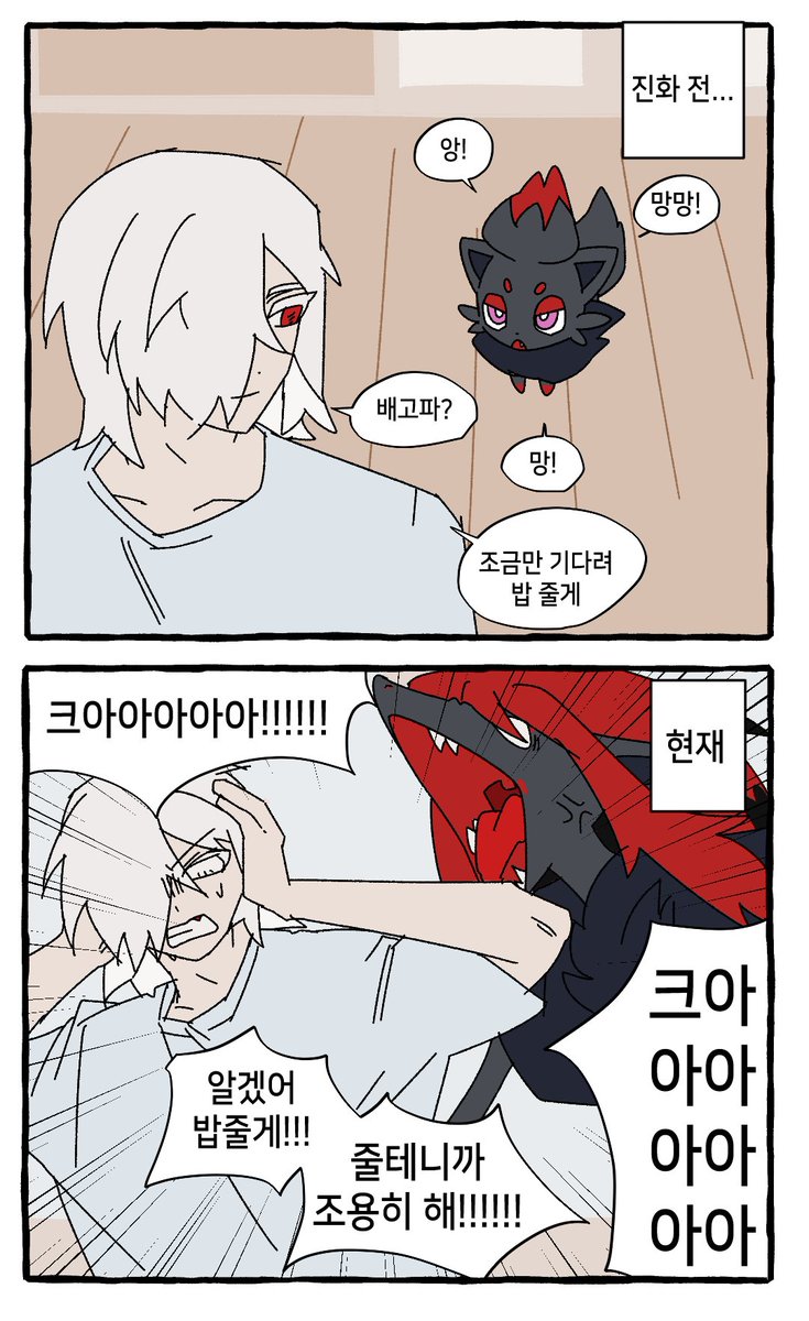 Murum1n's tweet photo. 조로아일 때는 귀엽게 짖었는데 조로아크되면 울음소리 천둥되는 거 개웃김 https://t.co/eknNalJ685