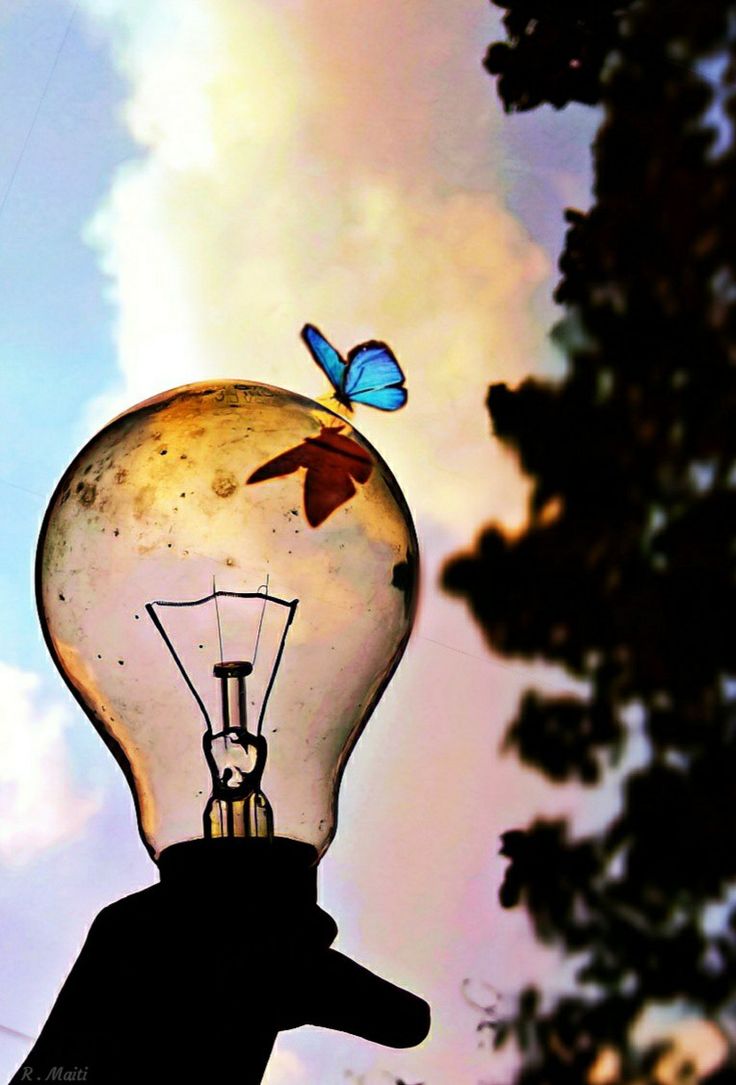Behappy81303878's tweet photo. Не проблема засунути лампочку в рот. Проблема - викликати потім "Швидку". 💙🩶🖤 https://t.co/lkBZRsHTqS