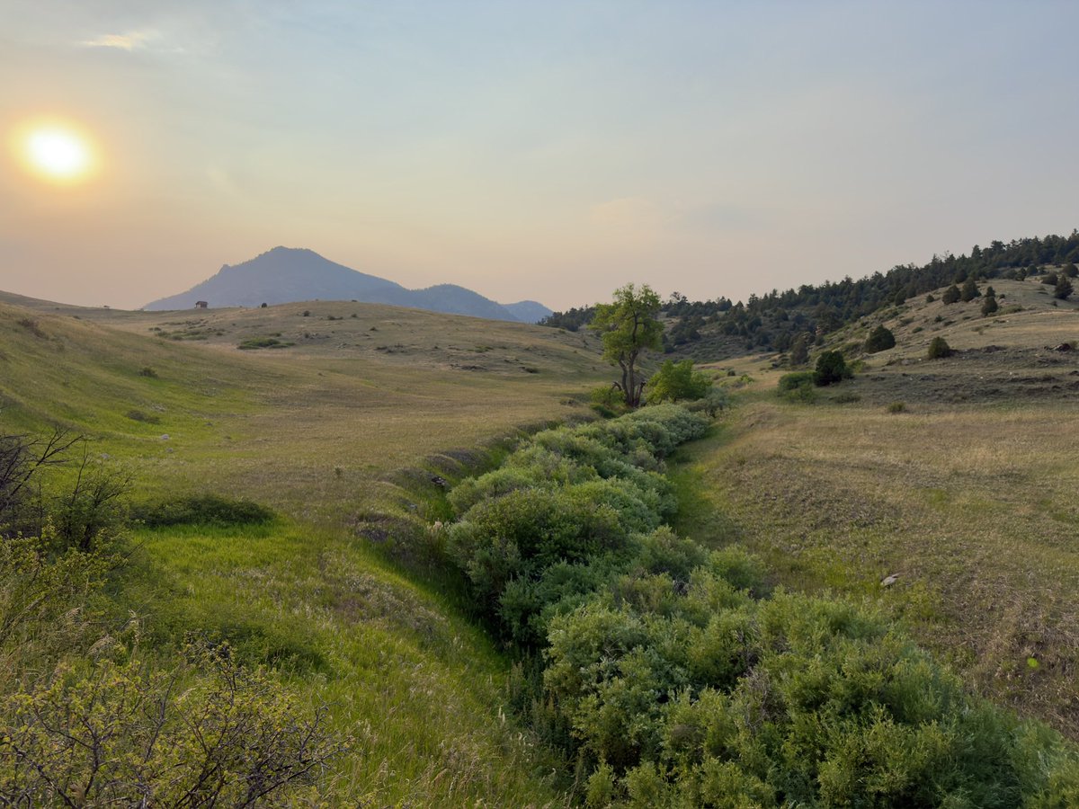 mr_visual_me's tweet photo. Summer in the alpine #NatureScenery #summer2026 #peaceful https://t.co/cZ74VzIT41