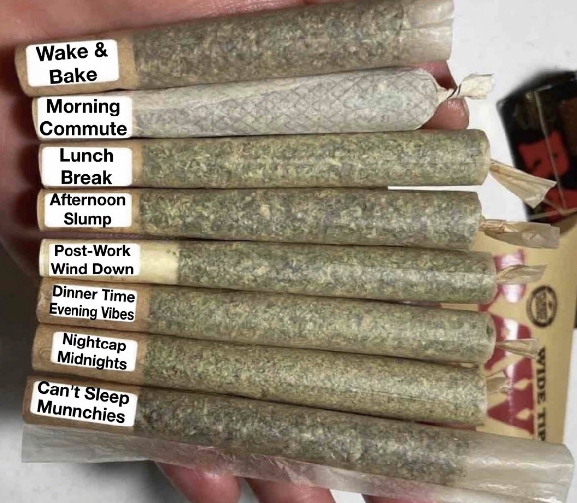 kimzGreenz's tweet photo. Full day lineup 🌿 https://t.co/HP7iBRNsCb