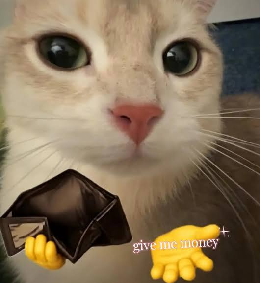 handcatmeme's tweet photo. @Kee_madeit wise move https://t.co/FN3Z68lr7E