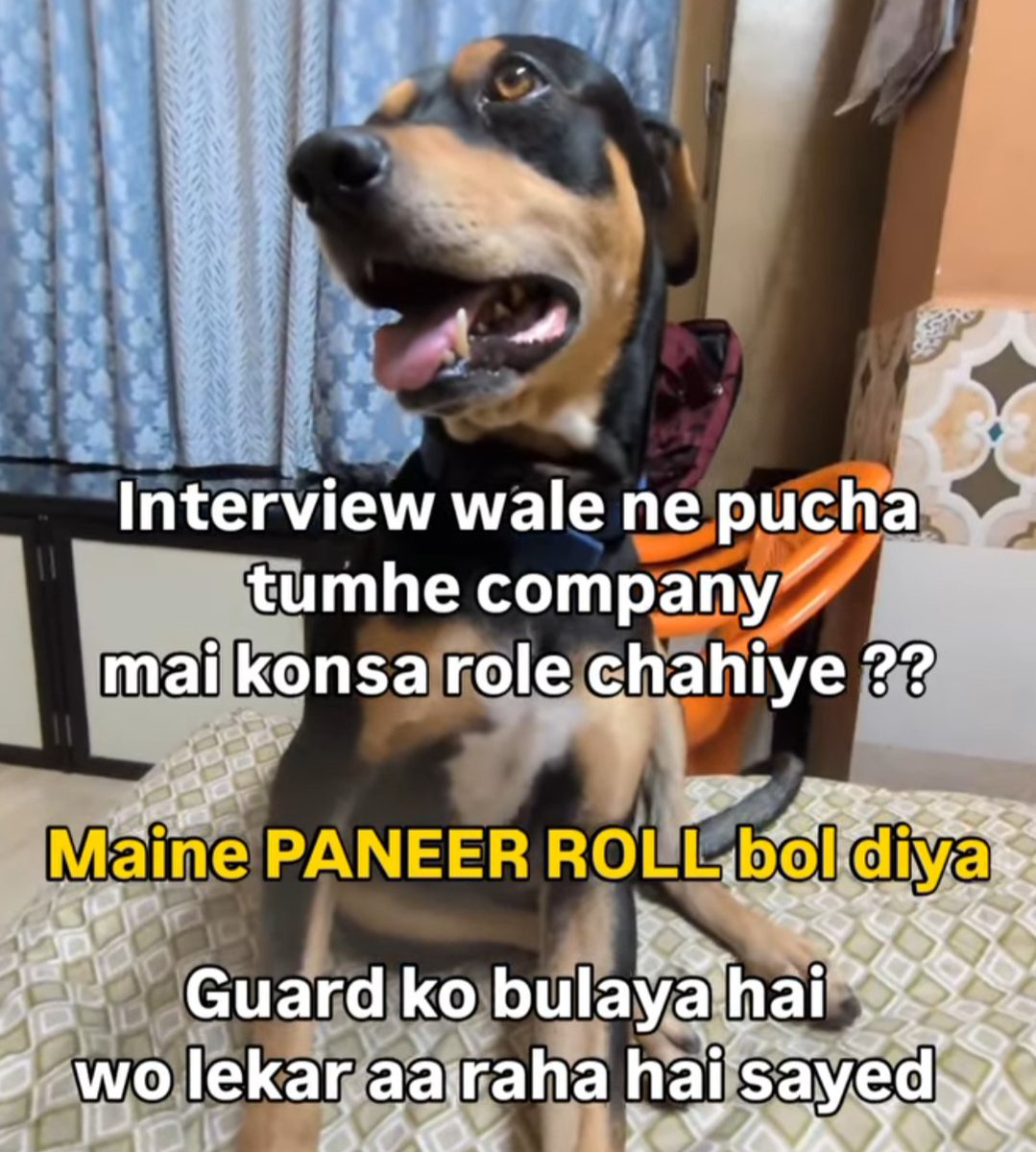 iamristaf's tweet photo. Paneer roll 😋😋 https://t.co/tbEHgGEl1B