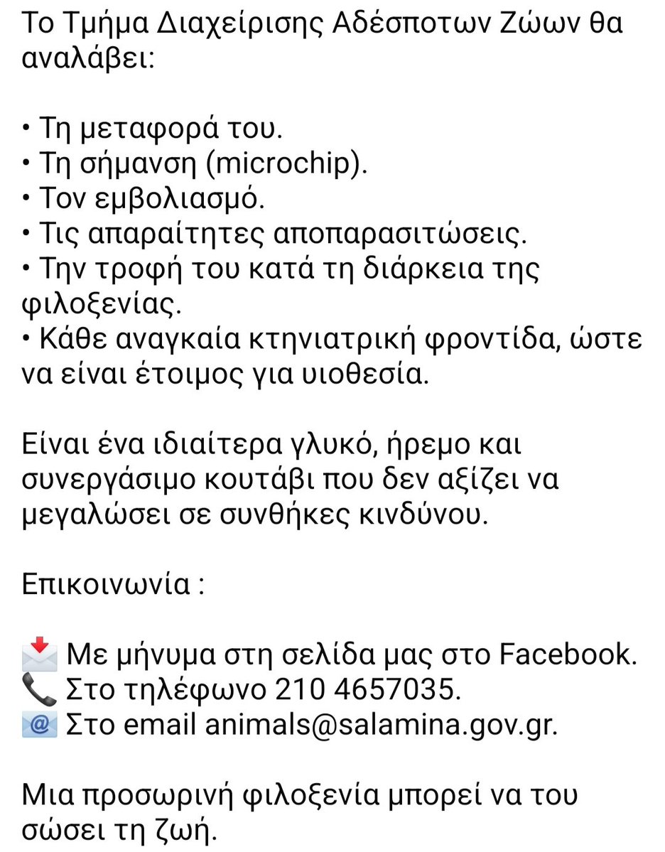 KatKatPt's tweet photo. 🆘️🆘️🆘️
Αυτό το αγοράκι είναι 6 μηνών,βρίσκεται σε σημείο όπου η παραμονή του δν είναι ασφαλής
Αναζητείται υπεύθυνη φιλοξενία με σκοπό να προετοιμαστει σωστά κ να βρεθεί υιοθεσία
Το τμήμα διαχείρισης αδέσποτων ζώων αναλαμβάνει το τσιπ,τη μεταφορά τον εμβολιασμό,την τροφή 👇 https://t.co/uEvJgL4sj5