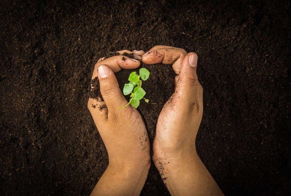 Taheri_Movement's tweet photo. Soil is one of the most vital natural resources on Earth, serving as the foundation for food production, water filtration, and biodiversity. Despite its fundamental role in sustaining life, soil remains one of the most undervalued and overexploited natural resources, facing continuous degradation due to unsustainable agricultural practices, deforestation, pollution, and urbanization.

👉Why Soil Matters?

.Food Security: Nearly 95% of global food production depends directly or indirectly on soil health

.Climate Regulation: Healthy soils act as major carbon sinks, helping to mitigate climate change

.Water Management: Soil plays a crucial role in filtering and storing water, reducing the risk of floods and droughts

.Biodiversity: Soil hosts a quarter of the planet's biodiversity, including countless microorganisms essential to ecosystem function.

Threats to Soil Health
Modern soil ecosystems face numerous challenges, including erosion, salinization, contamination by chemicals and heavy metals, loss of organic matter, and compaction from intensive farming methods. It is estimated that a significant portion of the world's soils are already degraded, threatening long-term agricultural productivity and food security.

This day serves as a reminder that safeguarding soil health is essential not only for agricultural sustainability but also for global food security, climate resilience, and environmental preservation. Protecting this finite resource requires collective responsibility and long-term commitment from individuals, communities, and nations alike.

#InternationalSoilConservationDay
#InternationalSoilConservationDay2026
#SoilConservationDay
#SoilConservationDay2026
#SoilConservation
#ISCD
#ISCD2026
#ISCDay
#ISCDay2026