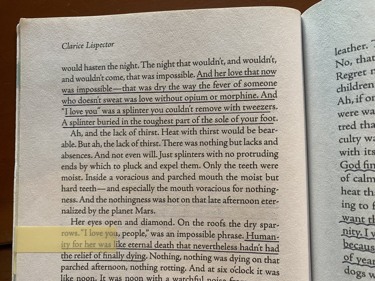 iycsts's tweet photo. my first lispector book and everything is so tragically beautiful and poetic https://t.co/Lxkz1guM9R