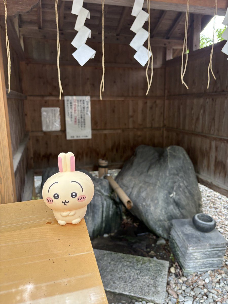 shinsukeboy's tweet photo. いいとこやったわ！ https://t.co/kg6Qn4OGgh