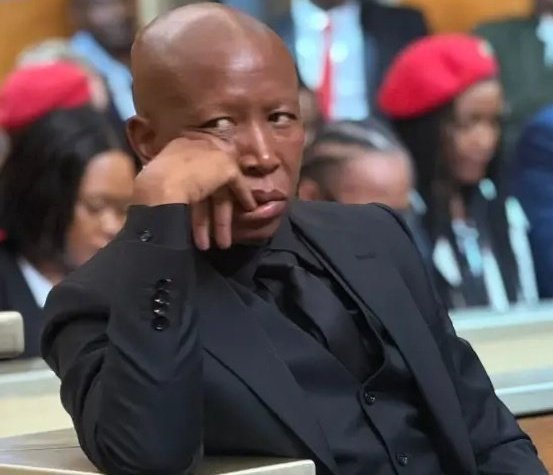 Nhleiks5's tweet photo. The CIC has entered the chat 👀👀👀#MadlangaCommission https://t.co/n0DtLBJrkP
