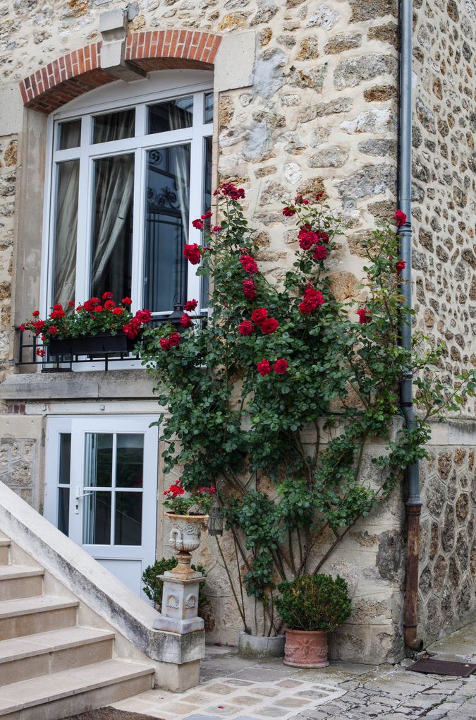 livinginstyle26's tweet photo. red🌹⚘️🥀 https://t.co/xKGJ29o6Ja