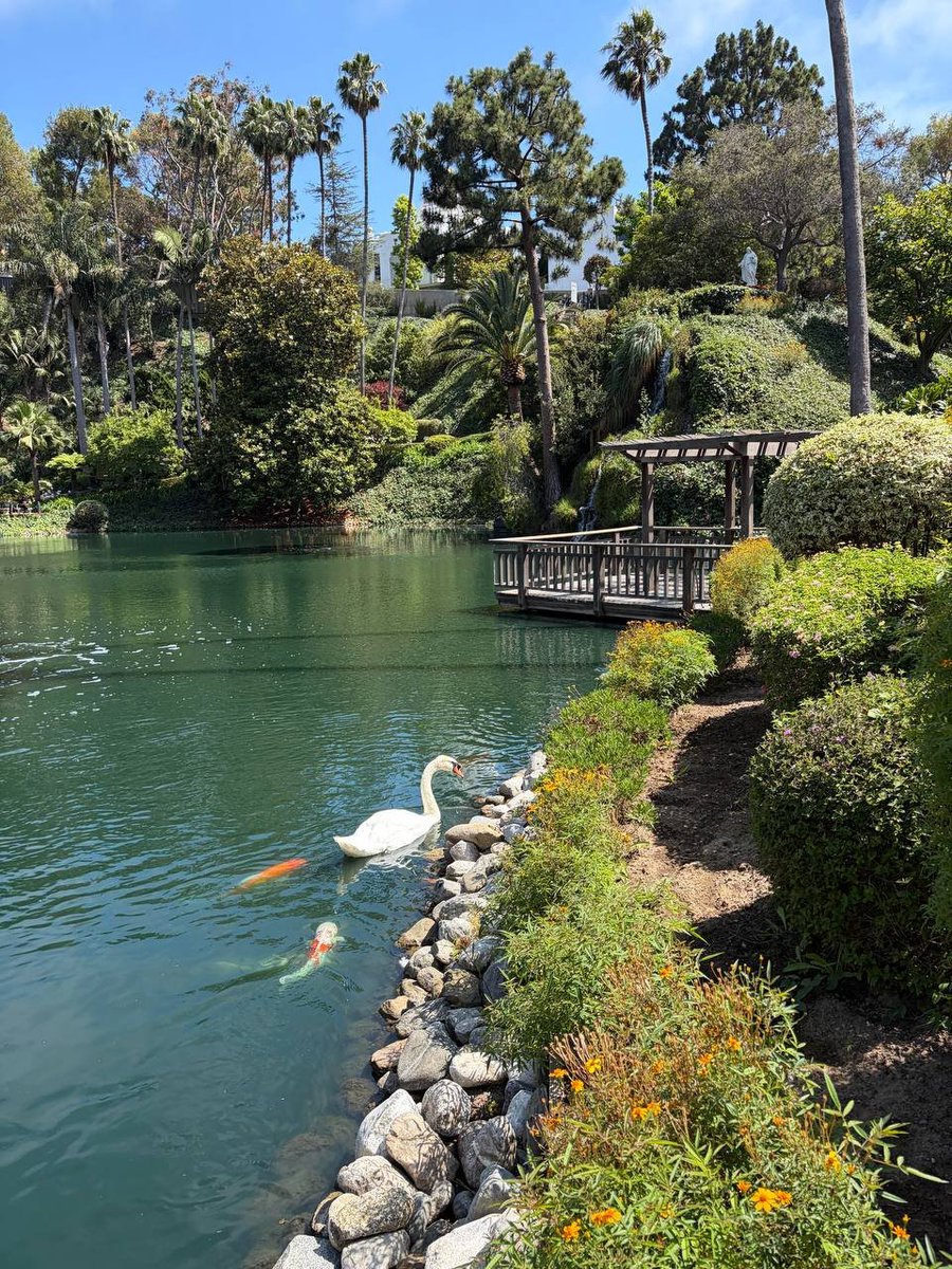 Gummy_ler's tweet photo. Get away from the hustle and bustle and enjoy a moment of tranquility.
Sometimes the best investments are not in assets, but in the moments that make us feel alive, the times of peace, and the places that make us feel the meaning of life. 🦢🌿 https://t.co/swPwJVsPcM