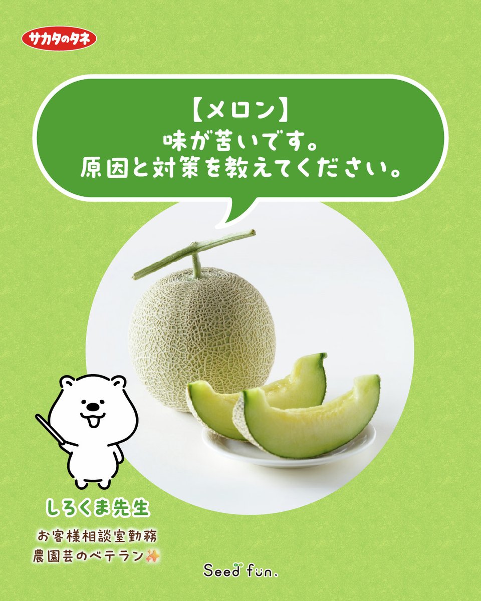 メロン様 教えて！しろくま先生🐻‍❄️／ 今年はもうメロンを食べましたか