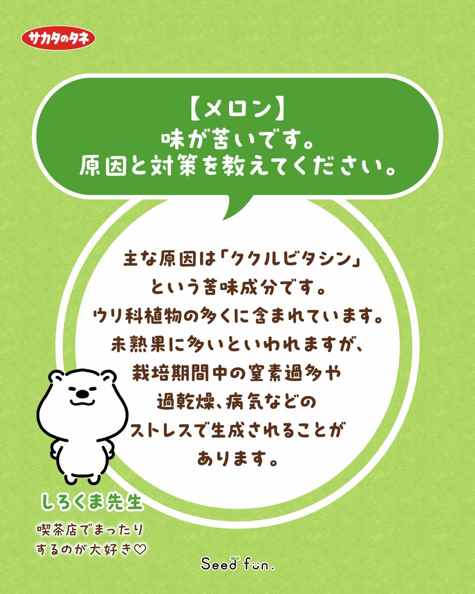教えて！しろくま先生🐻‍❄️／ 今年はもうメロンを食べましたか
