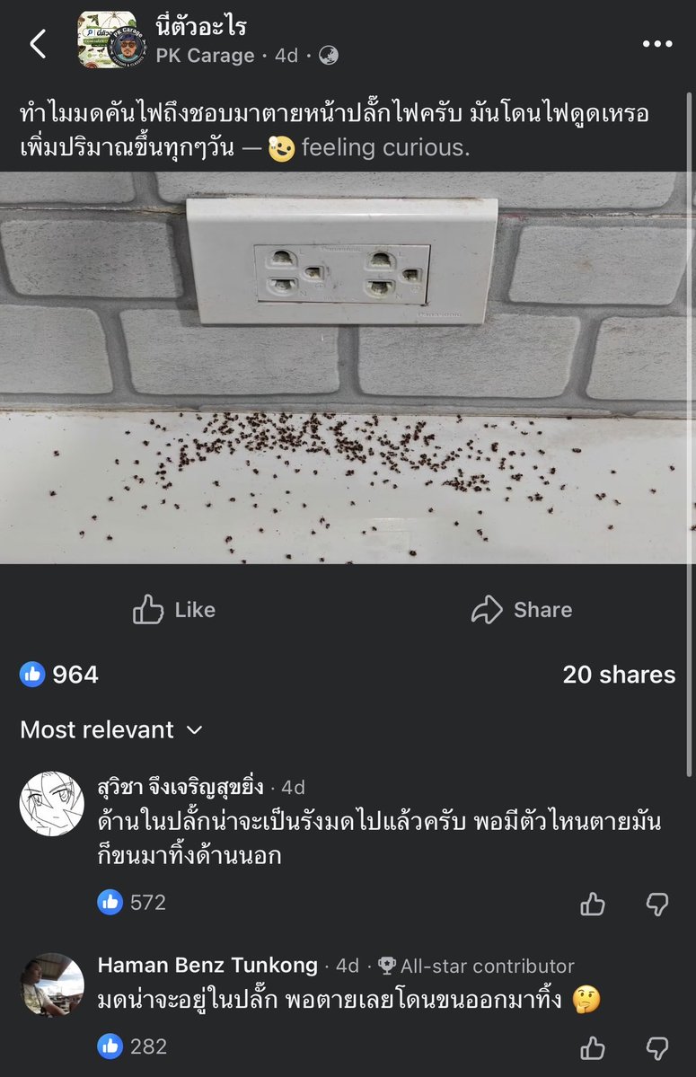 lalalukuu's tweet photo. เคยเจอเหมือนกันแต่ไม่เคยหาเหตุผล ความรู้ใหม่เลย https://t.co/41CtWfuCwM