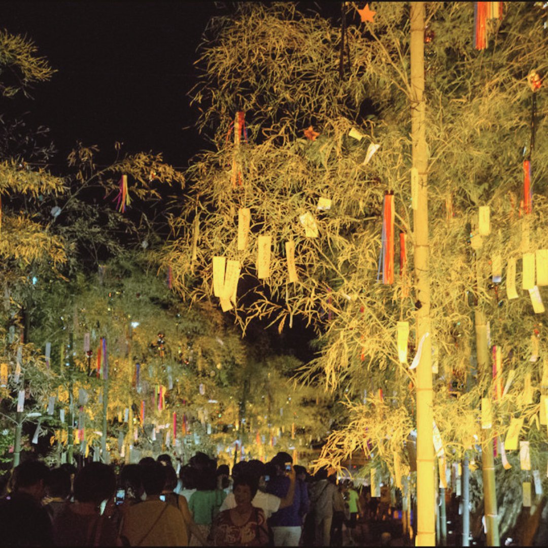 Japonismo's tweet photo. ¡Feliz #Tanabata! Hoy se celebra el tanabata🎋 la festividad de las estrellas y la cuarta de las cinco festividades estacionales japonesas https://t.co/3VXBf7dMrA https://t.co/KnSaY6yQbg