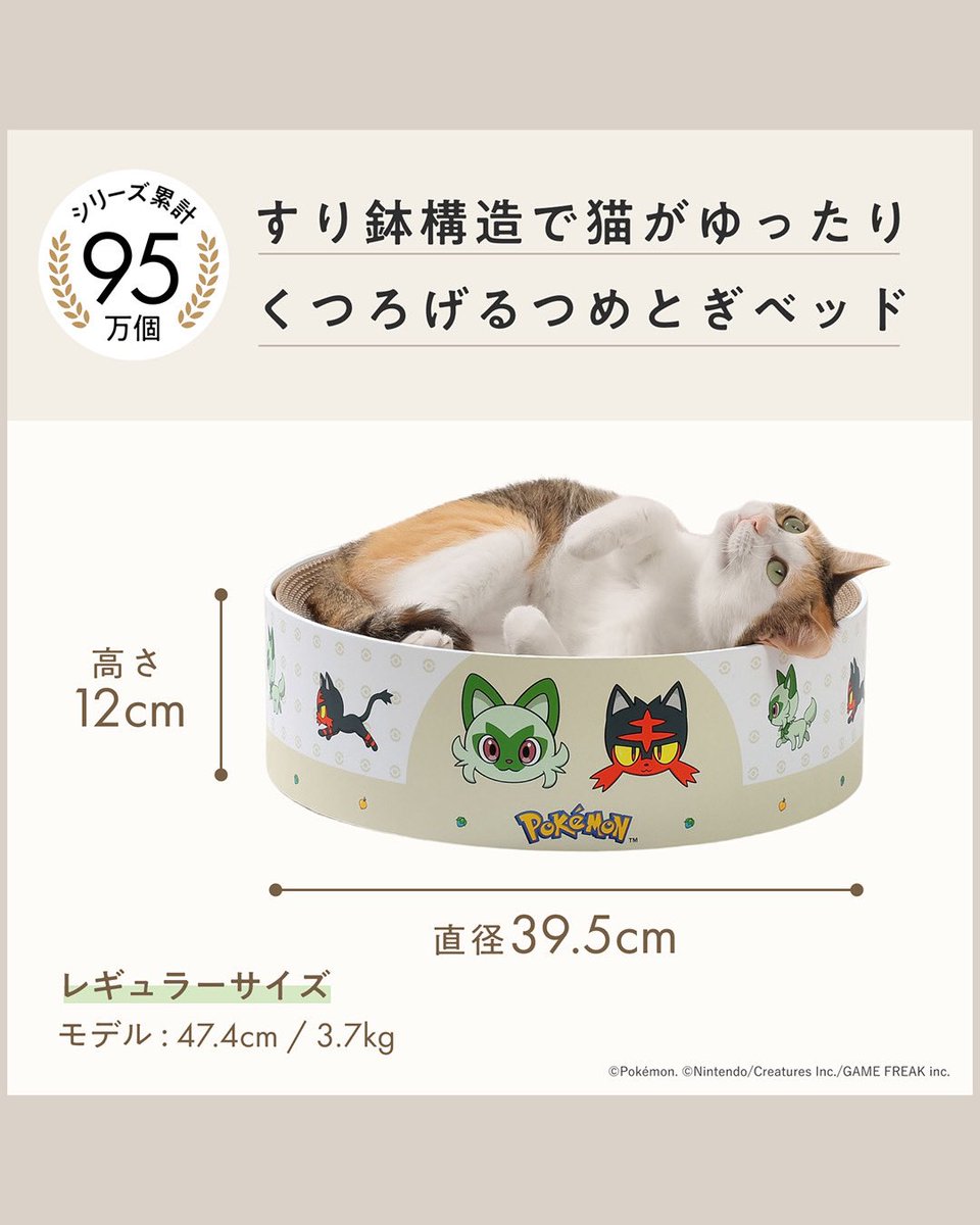 猫壱（necoichi）公式 (@necoichicojp) / Posts / X
