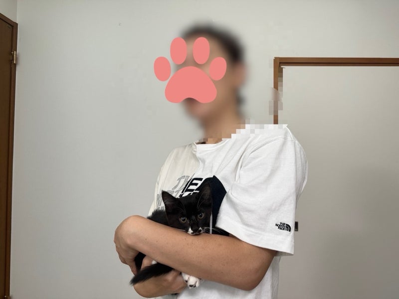 caracatcafe's tweet photo. ねこから目線。小池代表に捧ぐ、コイケーヌの幸せ報告❣️
 https://t.co/M1NjoEmL9W #Amebaブログ #アメブロ https://t.co/BUrQOQqE4K